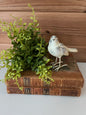 Resin metal bird decor in white/grey distressed finish, perched on vintage books with greenery. A charming home accent for rustic and farmhouse decor.
