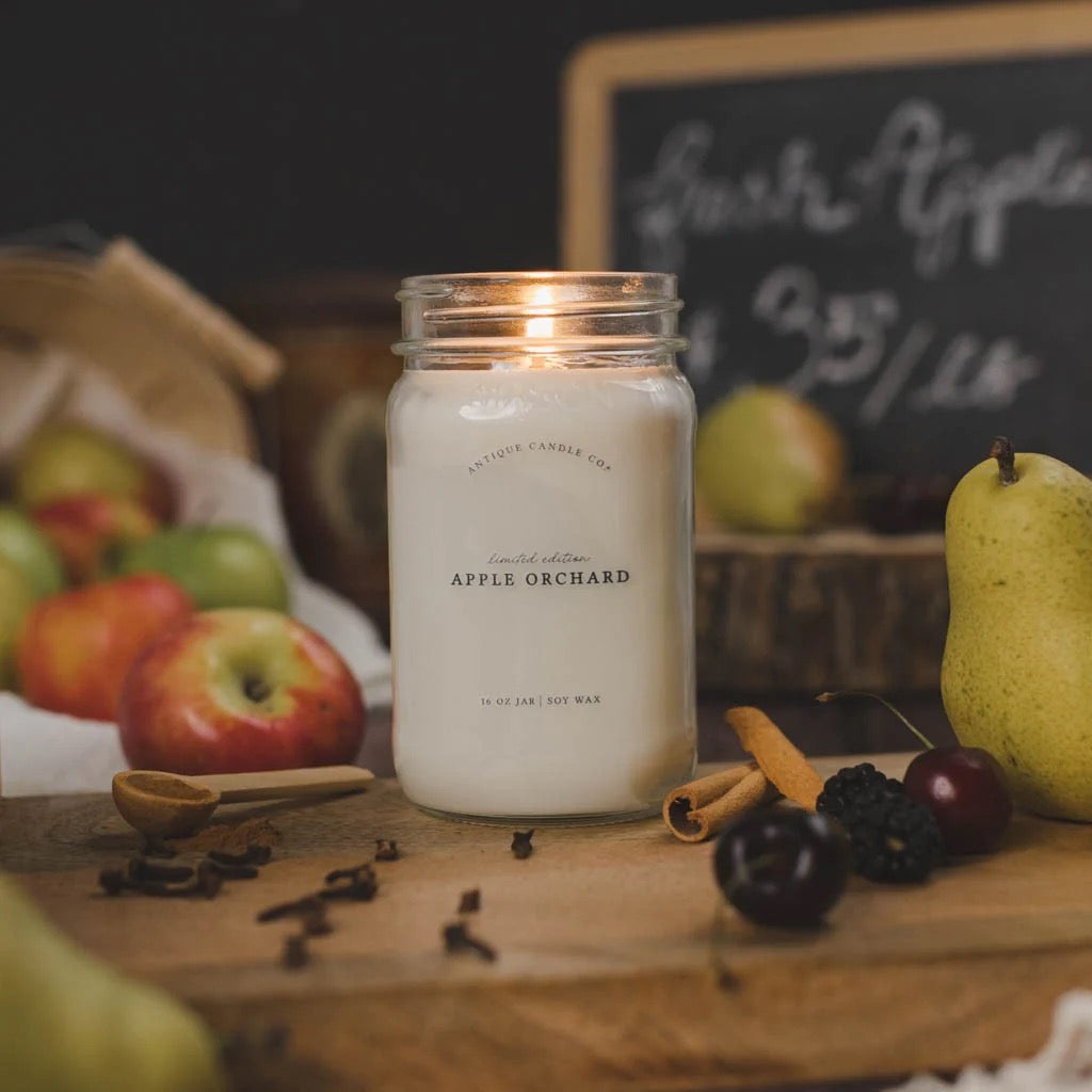 Antique Candle Co 16oz 'Apple Orchard' soy candle burning among fresh apples, pears, and spices. Long-lasting, natural home fragrance.